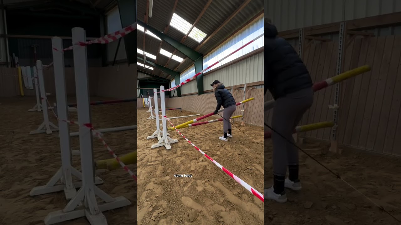 🐎 Du willst mit deinem Pferd Freispringen - vielleicht auch mit deinem Dressurpferd 😍