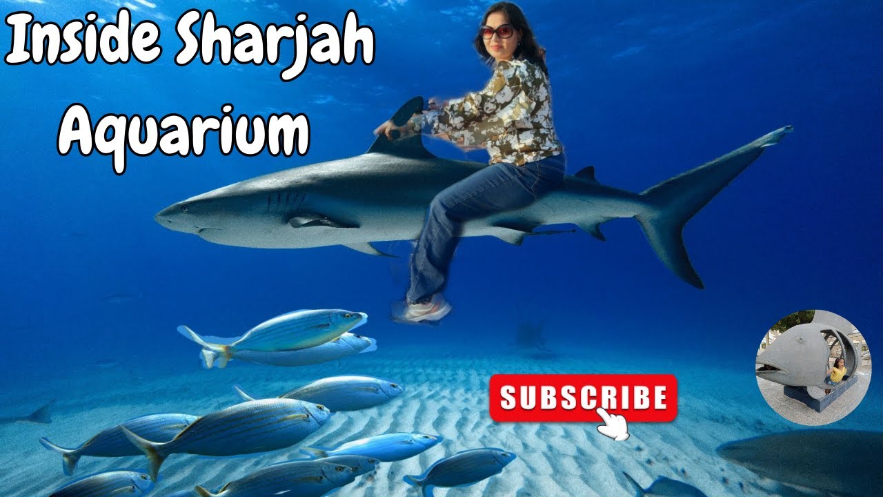 Sharjah Aquarium Dubai 🐟 | Dubai Hattra Amazing Aquarium 😍 #video #viralvideo #youtubevideo