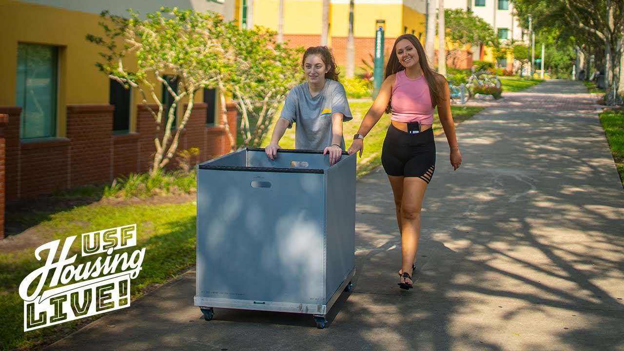 USF Housing LIVE! - 811 - 