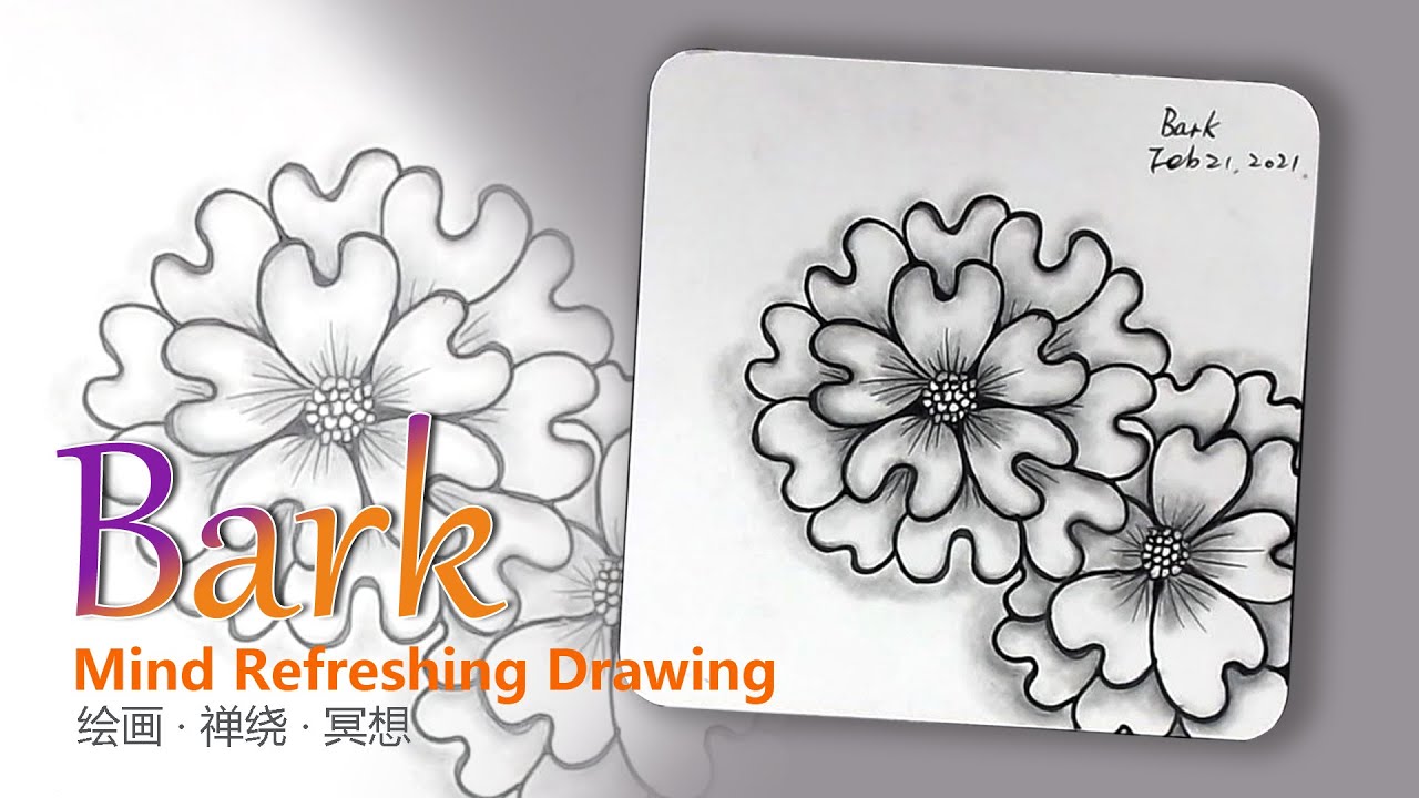 【step by step】Bark - Zentangle Flower Pattern - Mind Refreshing Drawing EP113