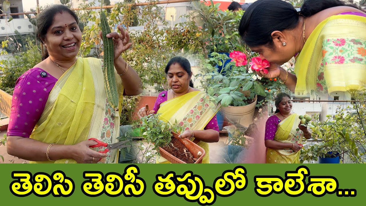 మనం ఉంటే అలా.. లేకపోతే ఇలా,  ఊరెళ్లి వచ్చేలోగా తోట ఇలా Disturb అయ్యింది. | TTH |