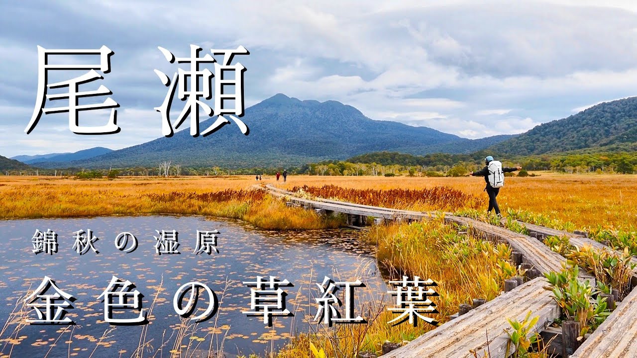 【尾瀬】草紅葉・小屋グルメと尾瀬唯一の温泉を堪能する1泊2日の旅（2025.10.04-05）