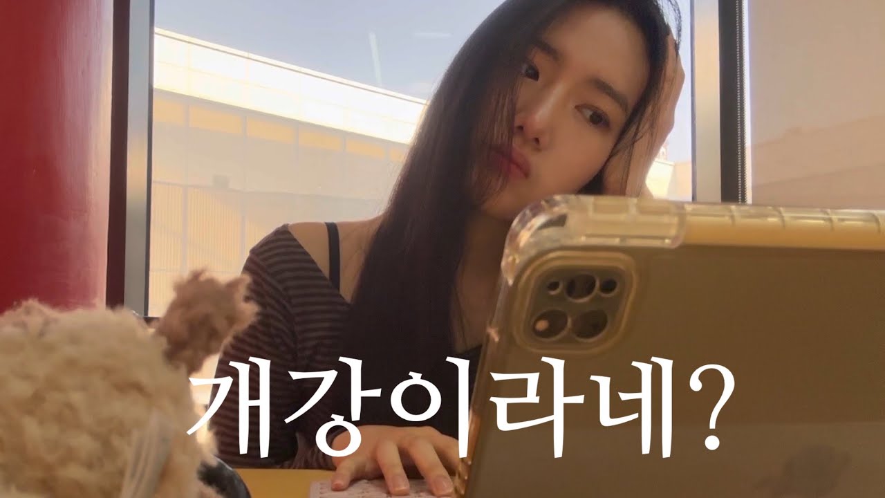 개강이요? 그런 얘기 못 들었는데… | 도서관으로 복귀한 대학생 브이로그