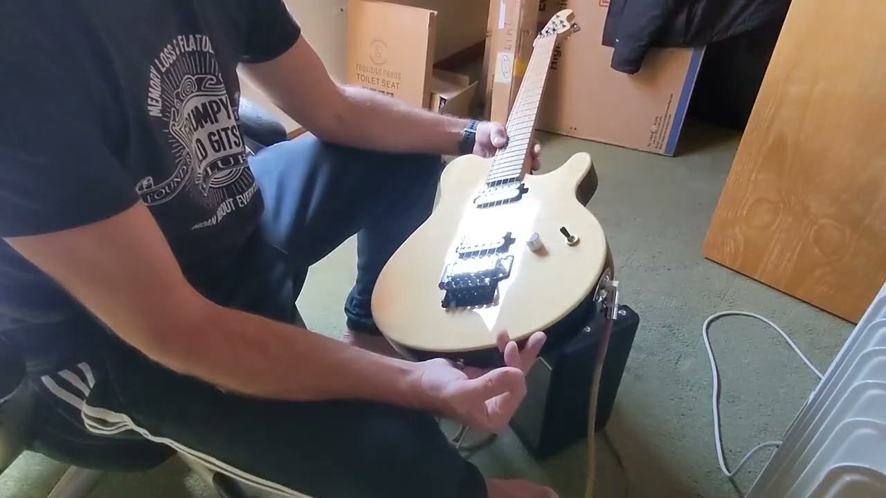 OLP EVH Guitar, BT 20 amp for sale.