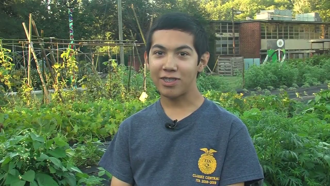 How One FFA Member Turned Plants Into Power