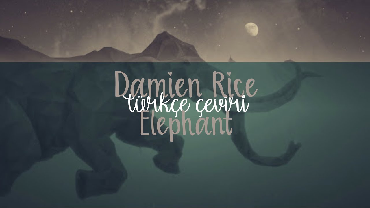 [Türkçe Çeviri] elephant - damien rice
