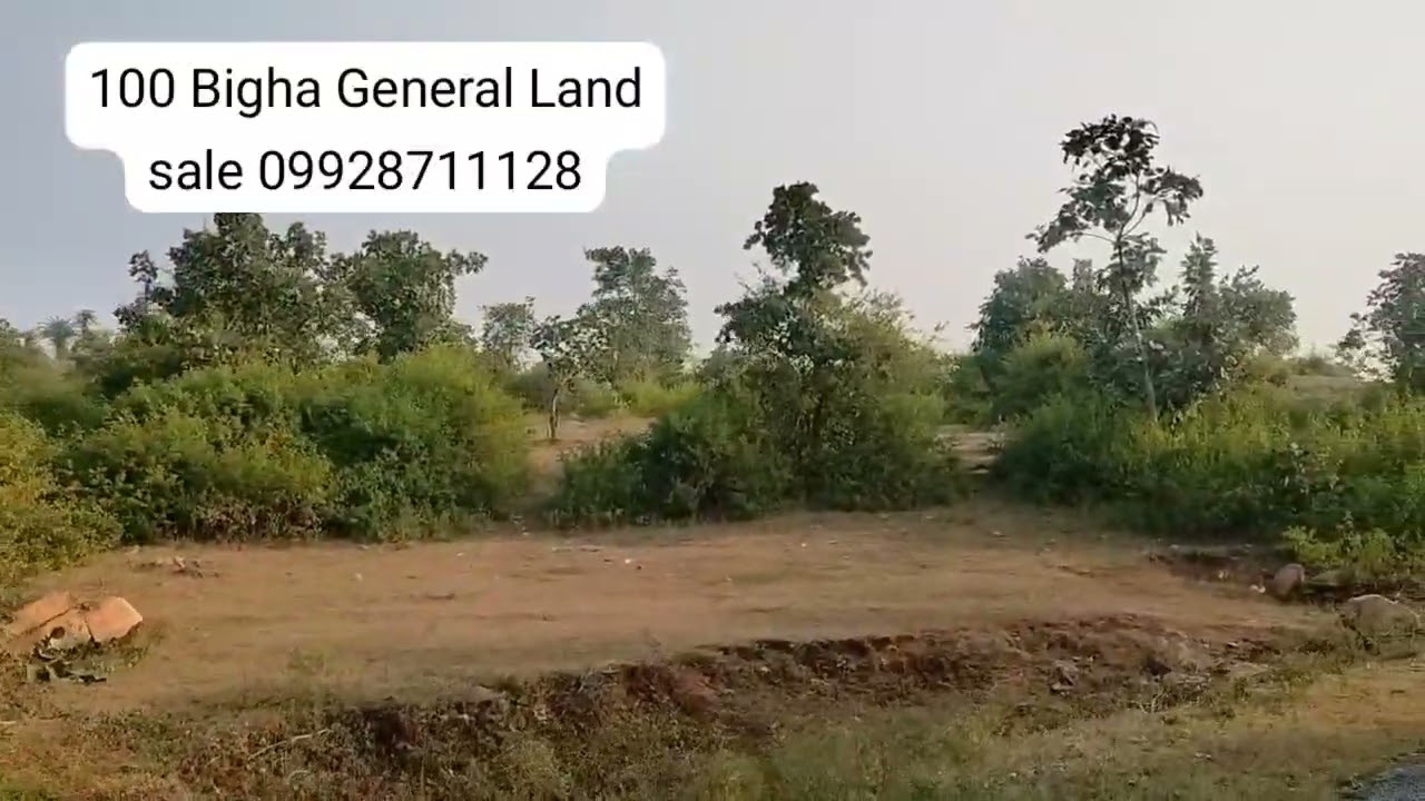 100 Bigha Land sale Near udaipur 09928711128
