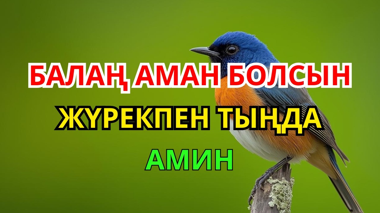 БАЛАҢ АМАН БОЛСЫН ДЕСЕҢ – ОСЫ ДҰҒАНЫ ЖҮРЕКПЕН ТЫҢДА