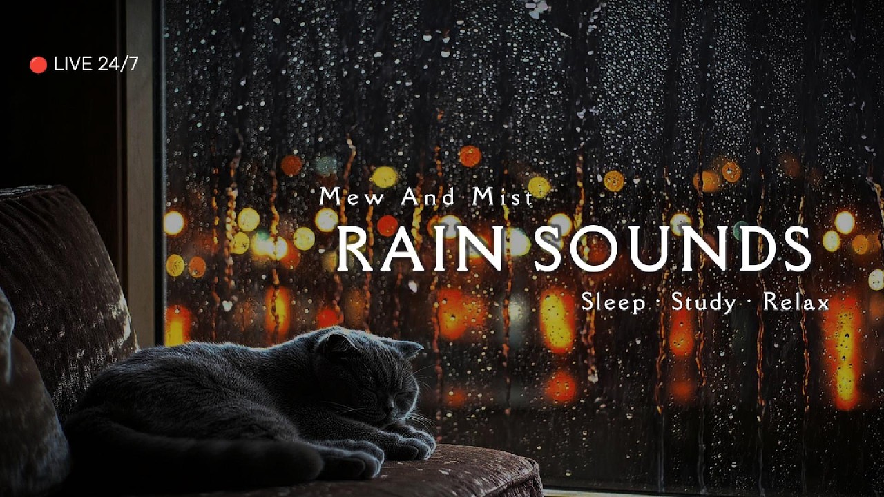 🔴 LIVE  24/7 Real Night Rain on Window 🌙 Fall Asleep Fast (10 Hour Deep Sleep Sounds)
