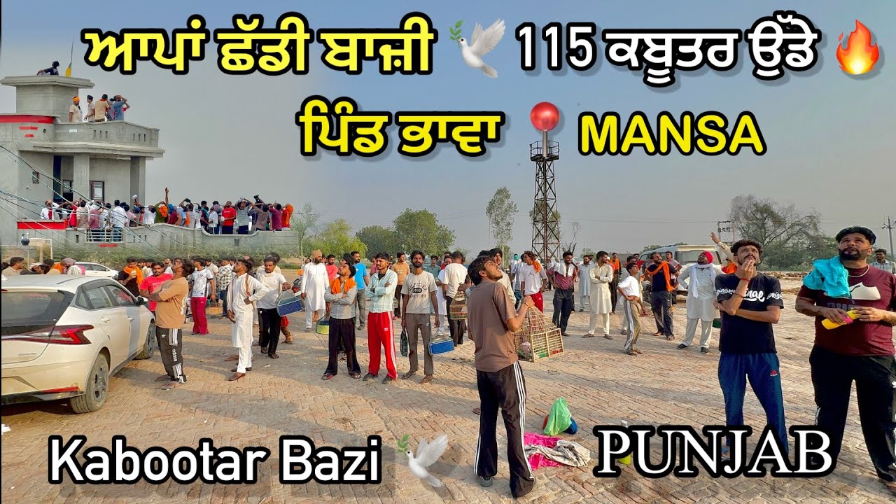 ਆਪਾਂ ਬਾਜ਼ੀ ਛੱਡੀ 🕊️ ਪਿੰਡ ਭਾਵਾ || 115 ਕਬੂਤਰ ਉੱਡੇ 🔥|| ਬਾਜ਼ੀ ਤੇ ਰੌਲਾ ਪੈ ਗਿਆ || #kabootar