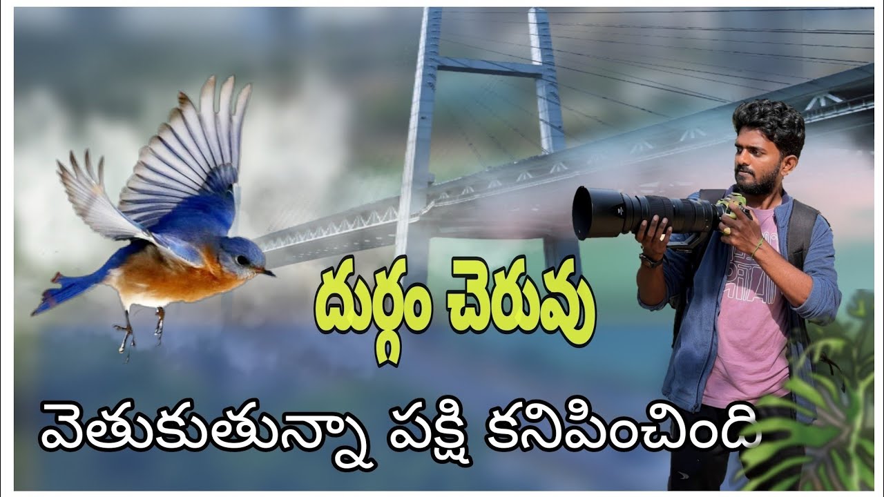 durgam cheruvu lo పక్షి కనిపించింది. | #viewfindersnap | #teluguphotographyvlogs
