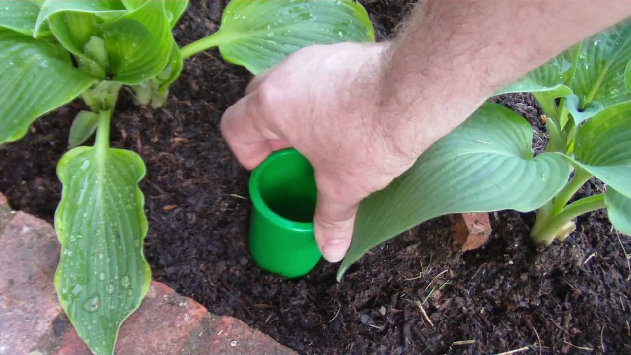Probably the best Slug Trap in the world