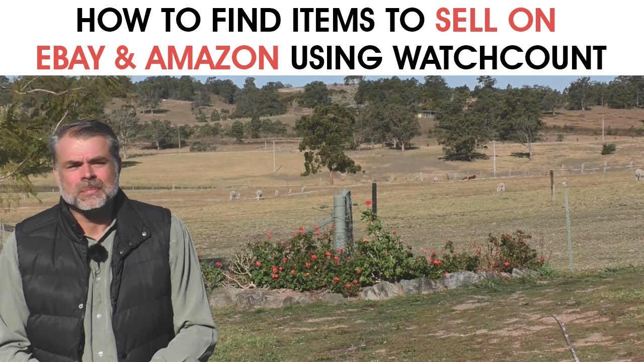 How To Find Items To Sell On eBay & Amazon Using Watchcount
