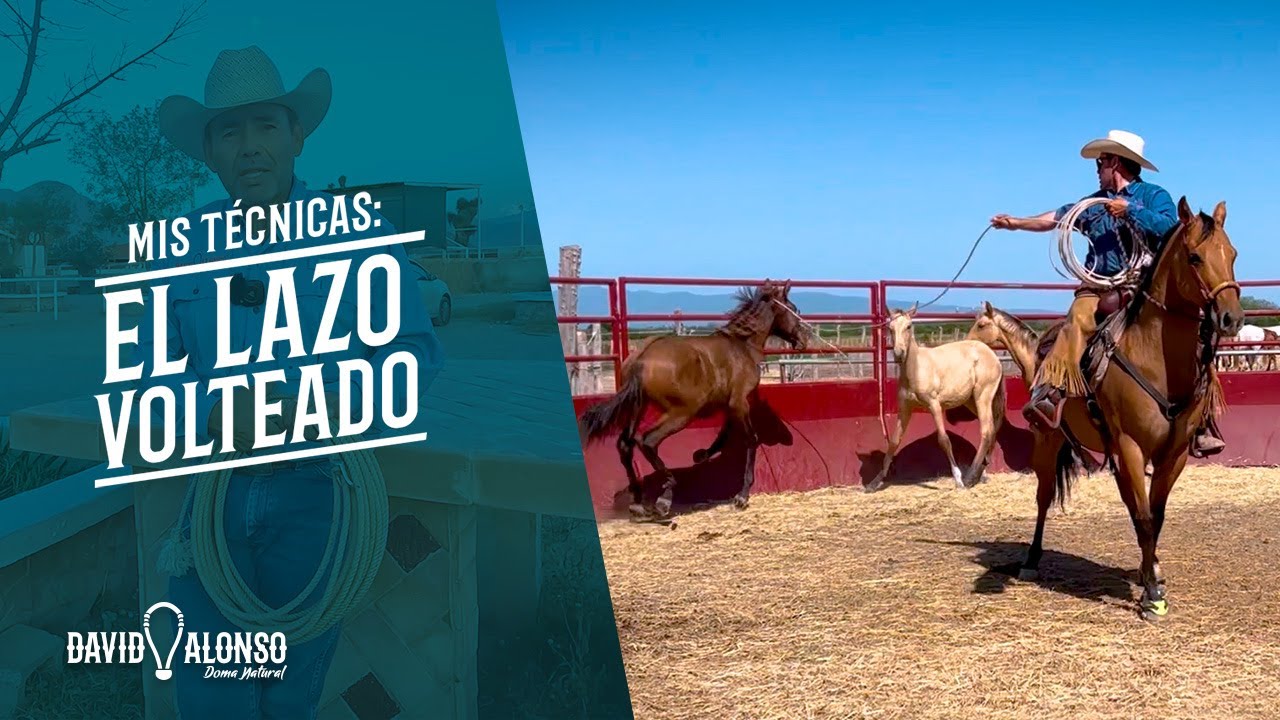 El Lazo Volteado
