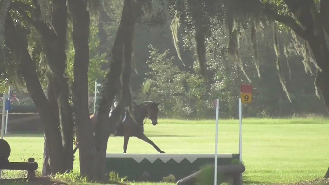 Matt Flynn & Professor Pitt TH XC