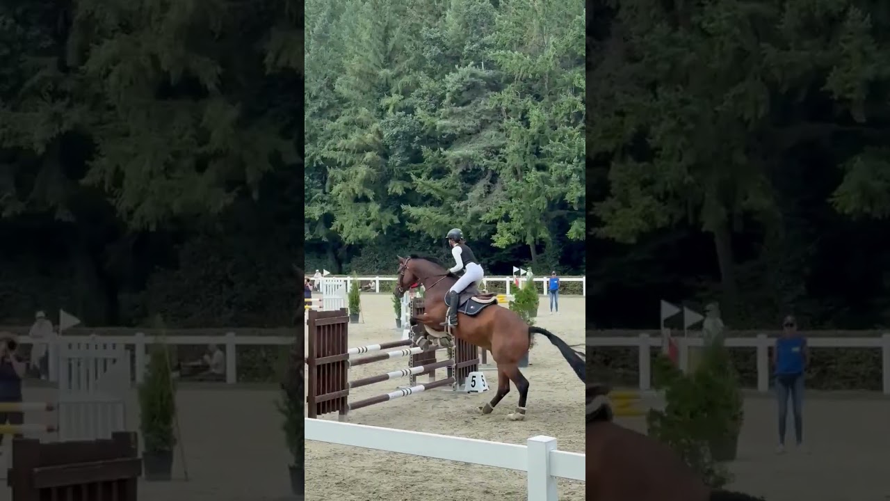Semper Fi &ndash; Experience Meets Heart & Potential 🐎