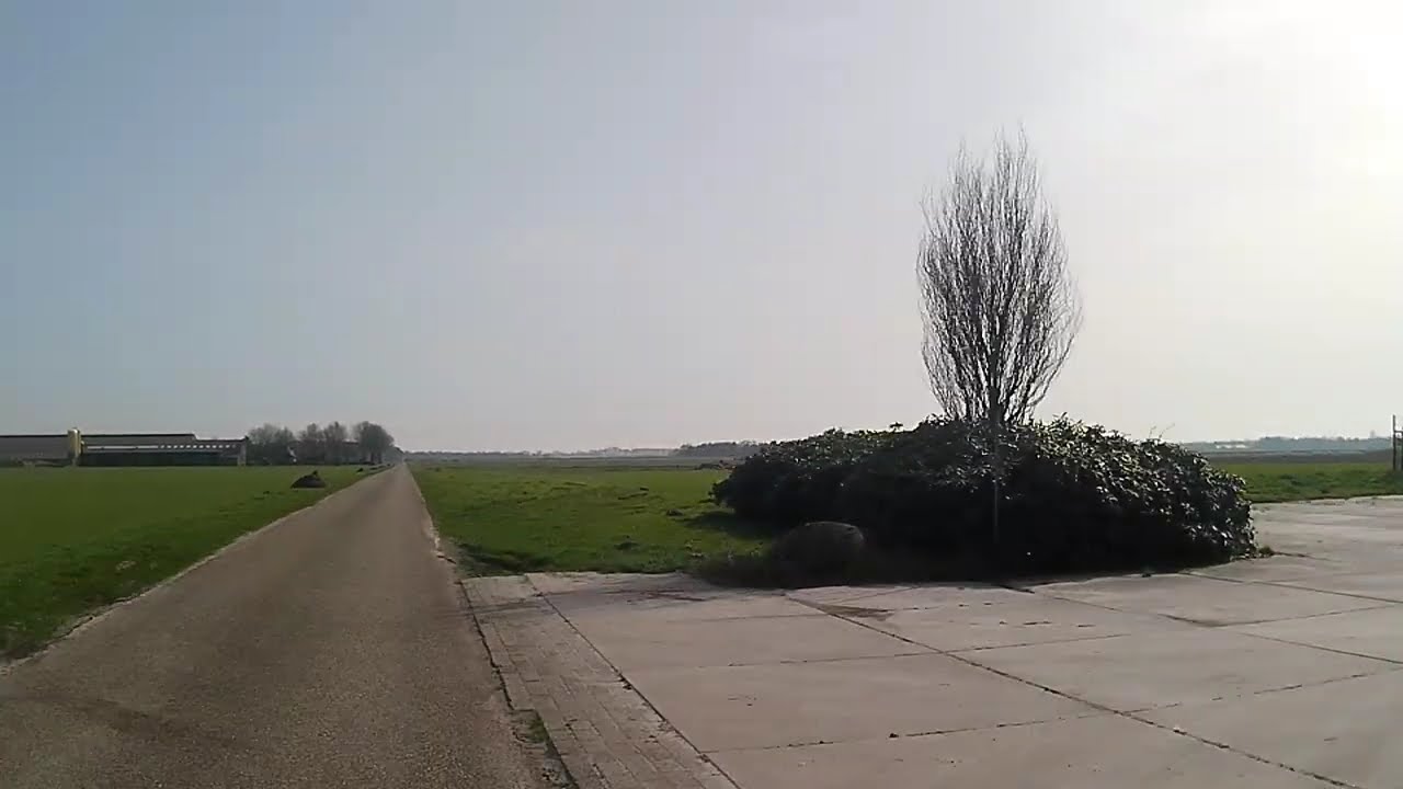 Eeseveen achter schapenbos