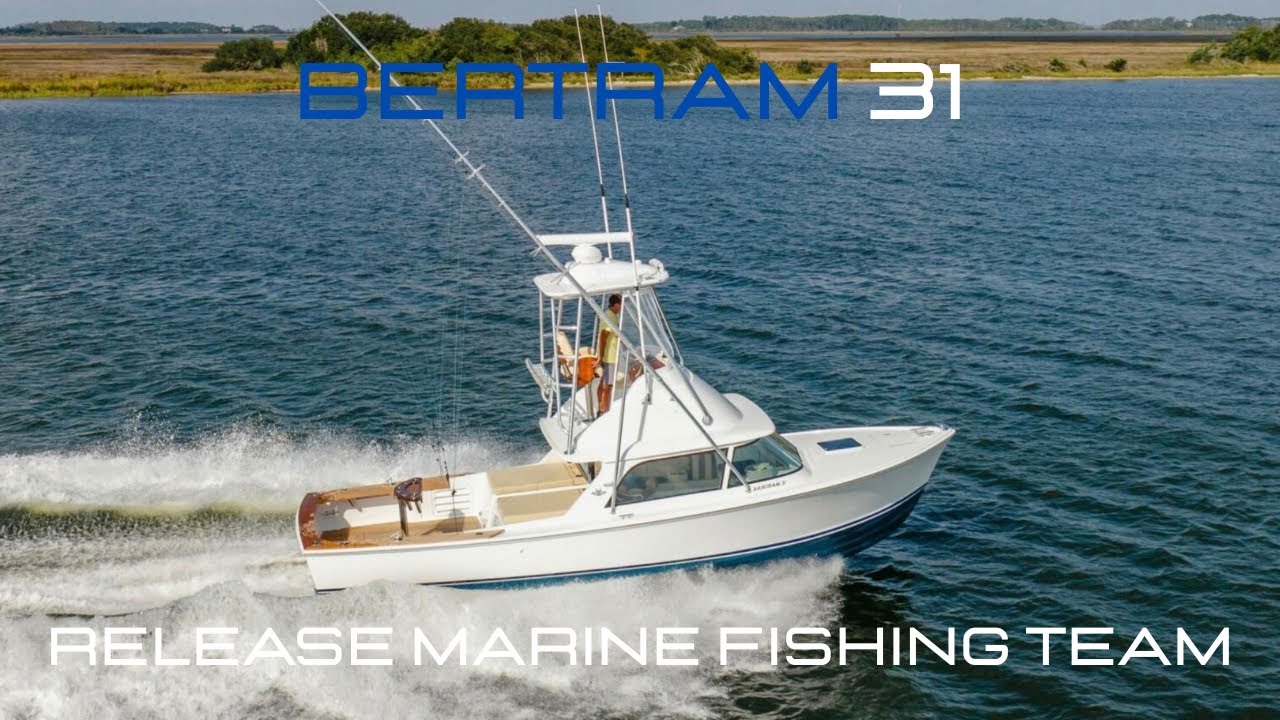 USED BERTRAM | Bertram 31 — Proven Offshore, Proven in Competition