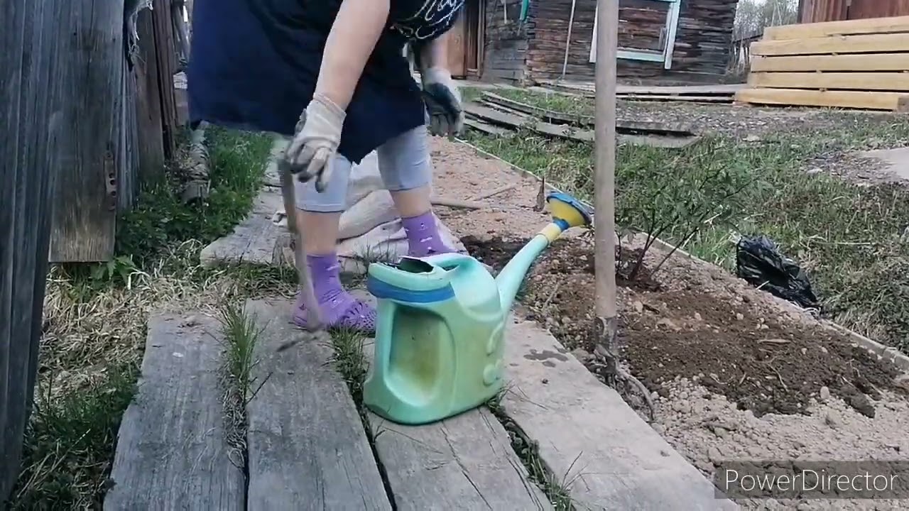 Жизнь в глубинке. Посадила цветы из юга. Аборигенка. Таня.  Жизнь в деревне.