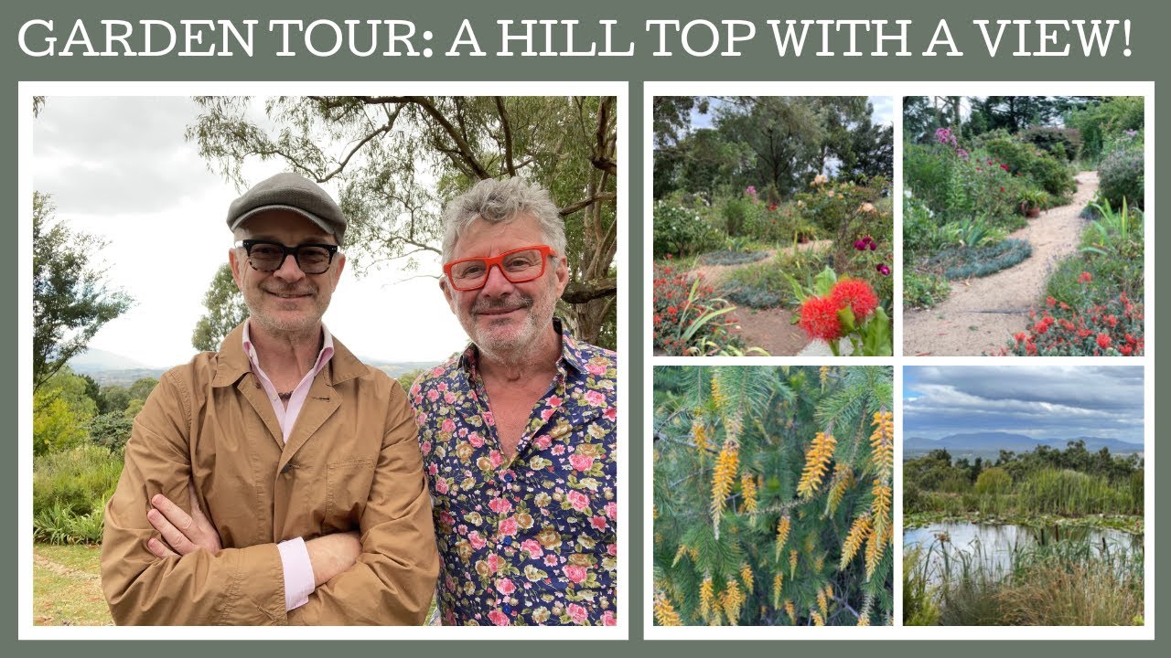 Garden tour: Virginia Haywood's hill top garden with fabulous views and wonderful rare plants!