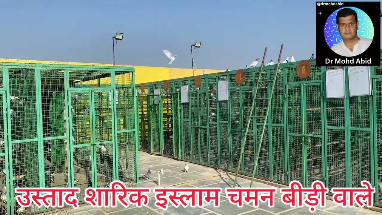 चमन बीड़ी वाले मेरठ | Chaman Bidi Wale Meerut | फड़क 26-10 -2023