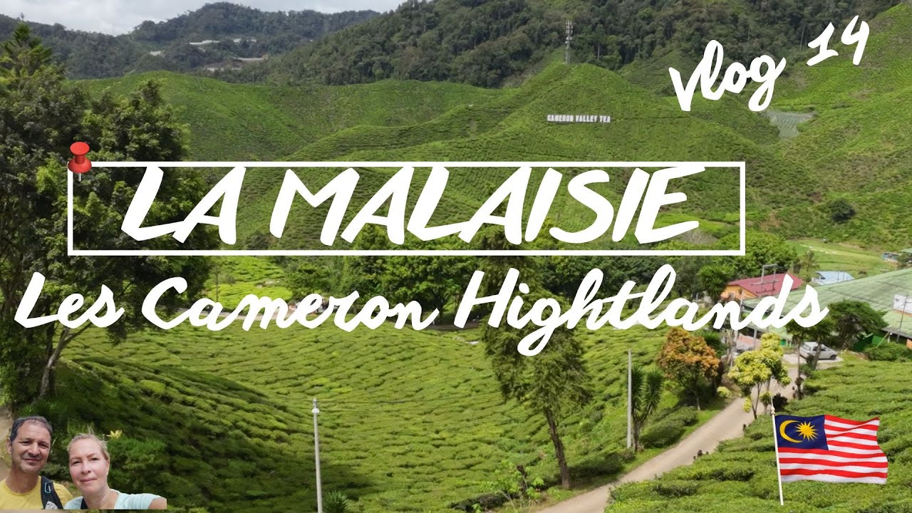 Vlog 14 Les Cameron Highlands - Tanah Rata,  petite ville de montagne située à 1400m d'altitude.