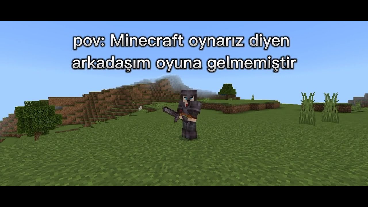 🧐 Minecraft En Yanlız İnsanı 😲 #shorts