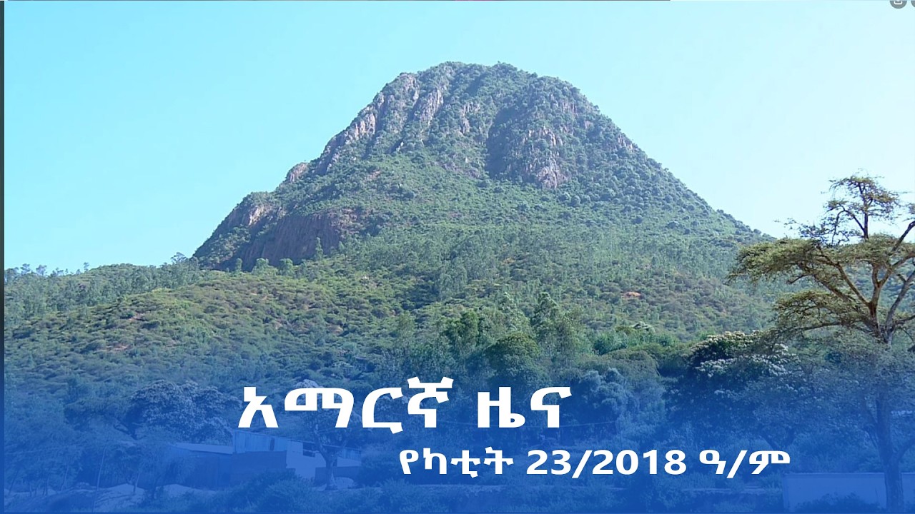 የምሽት 2፡00 ሰዓት አማርኛ ዜና | የካቲት 23/2018 ዓ.ም | #Tigrai_Television | #ቴሌቪዥን_ትግራይ