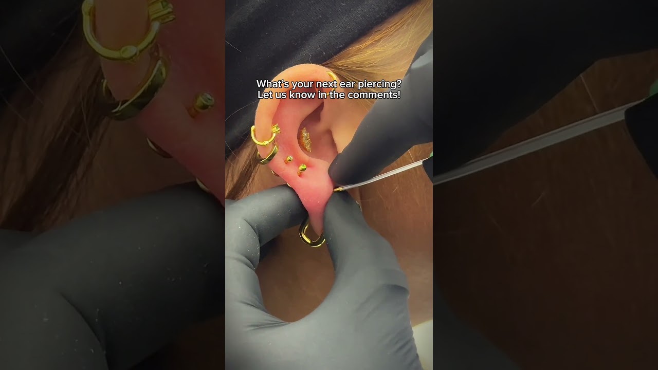 Stacked lobe piercing with titanium gold jewelry ✨