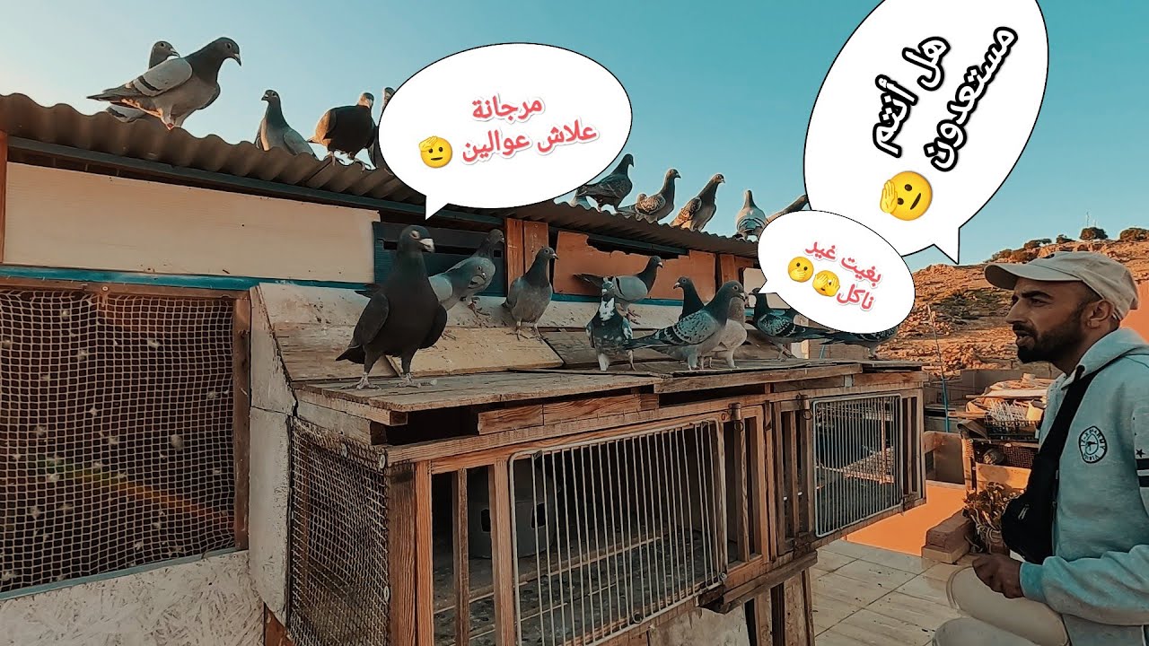 توليعة أطليسة مع آخر المسات 🫡لإستعمال الرايا ورفع الإقاع 🫣.... كن على بال 🫢🥄