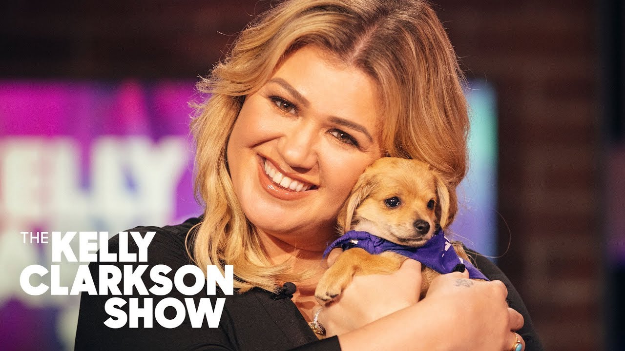 Puppies Keep Interrupting Anna Faris’ Interview With Kelly