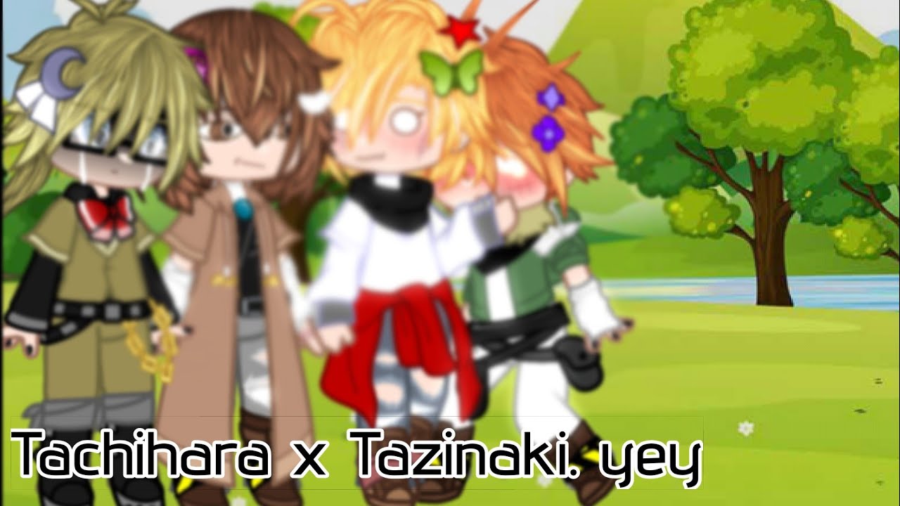 How Did They Learn About Tachihara and Tanizaki. / sHiPs / Gacha Bungo Stray Dogs | Night