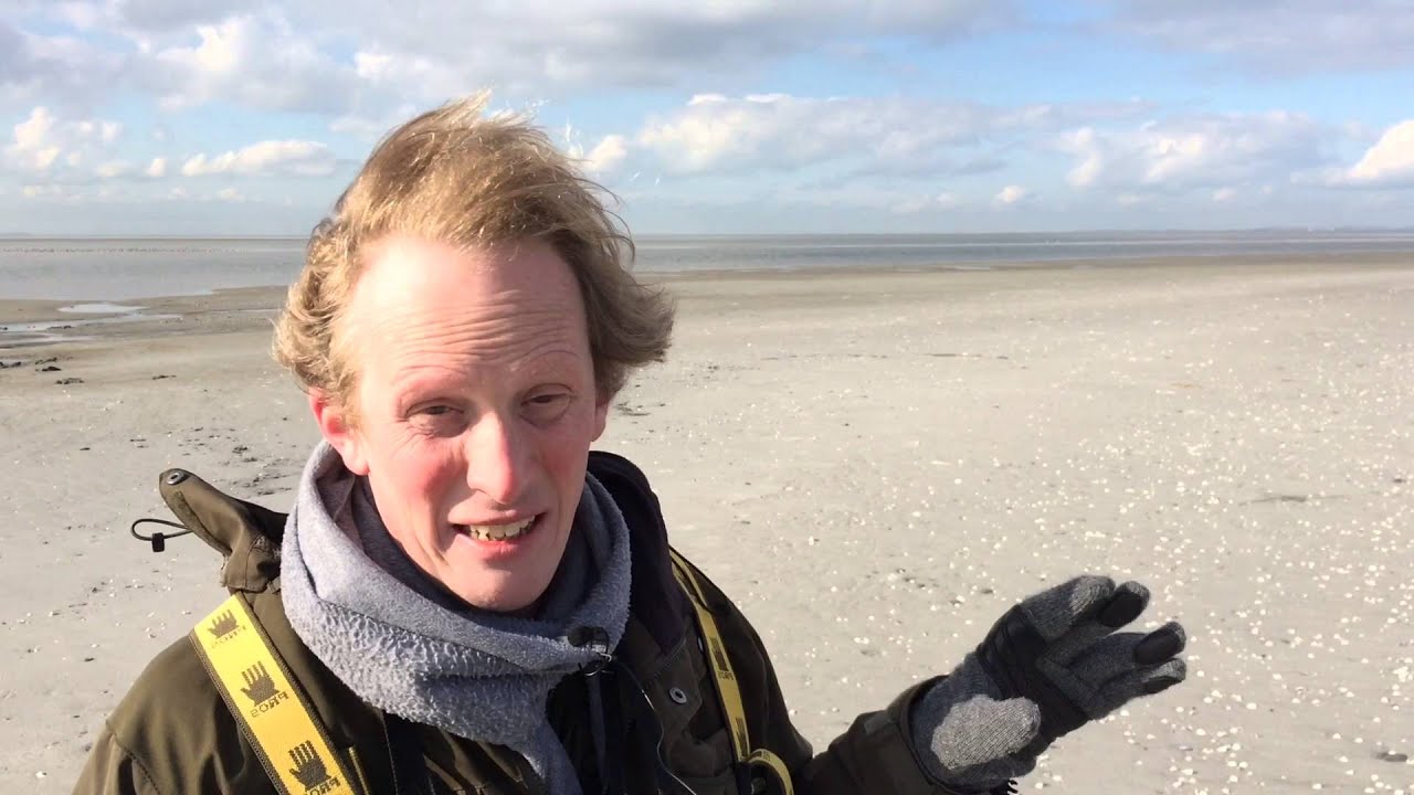 Vogeleiland Griend dreigt te verdwijnen