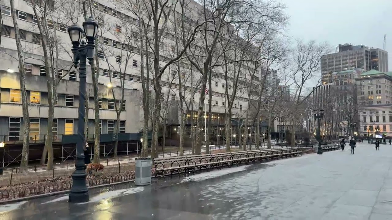 Downtown Brooklyn, New York (3-6-26)