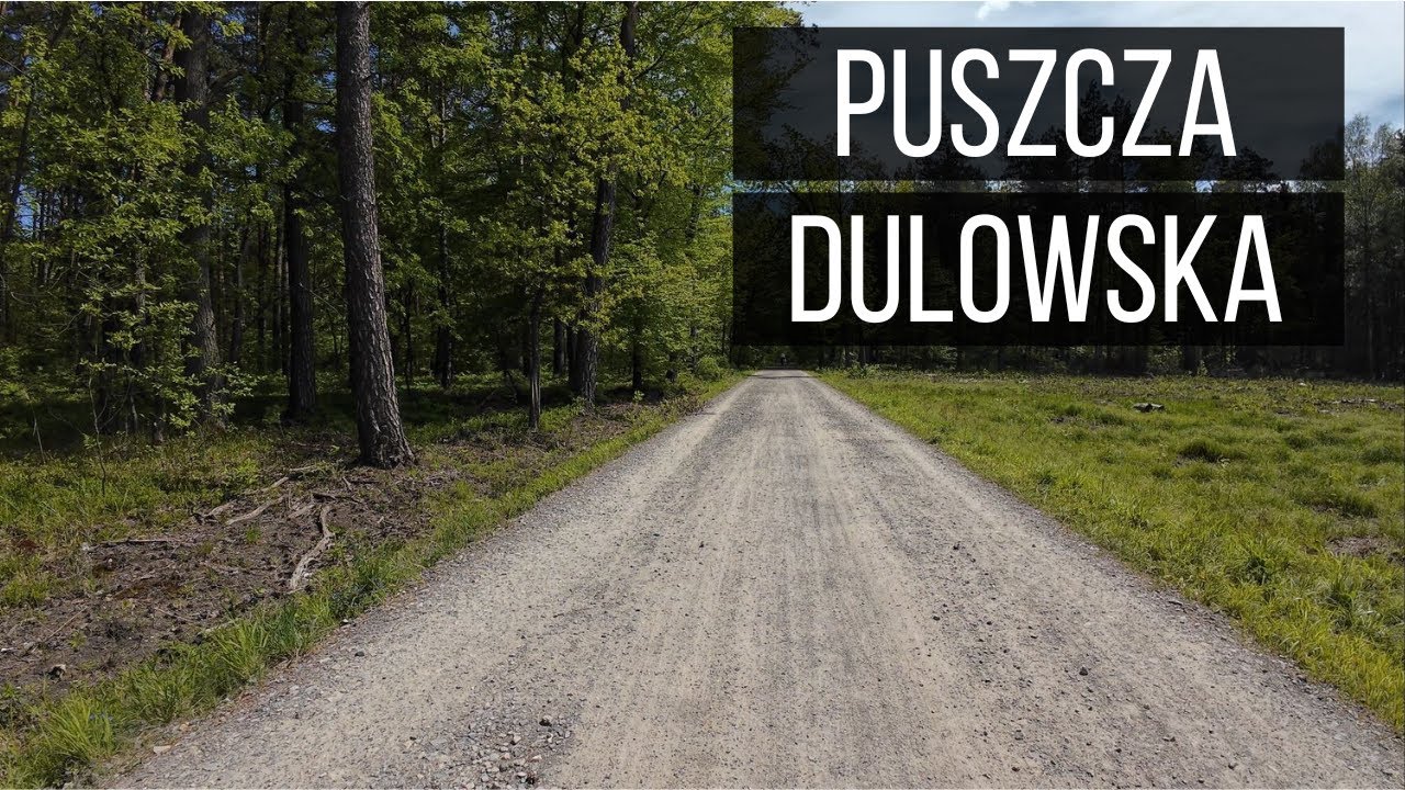 Puszca Dulowska