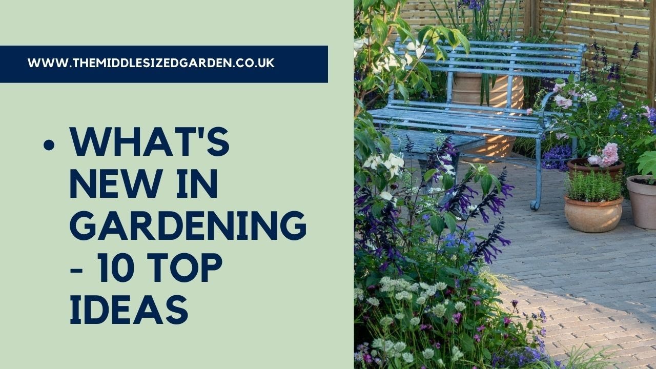 10 good ideas for your garden from RHS Hampton Court Palace Garden Festival