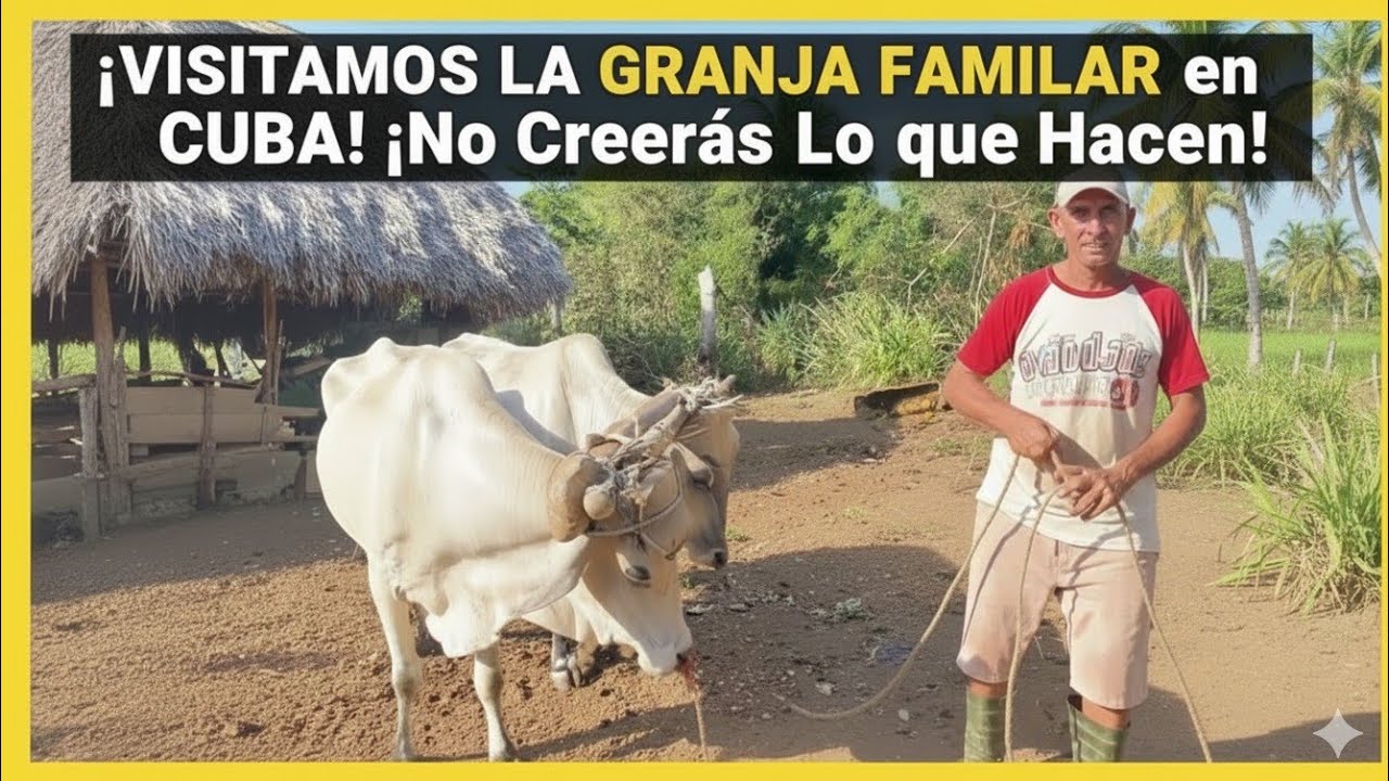 ¡VISITAMOS LA GRANJA FAMILIAR en CUBA! ¡NO Creerás Lo que Hacen !