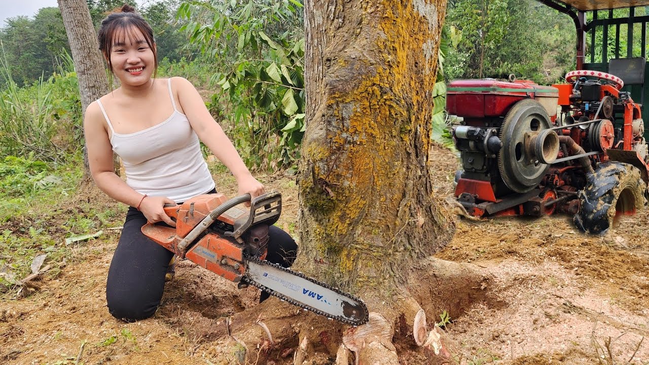 Agricultural Vehicles, Using 365 Chainsaw for Logging and Transporting Wood