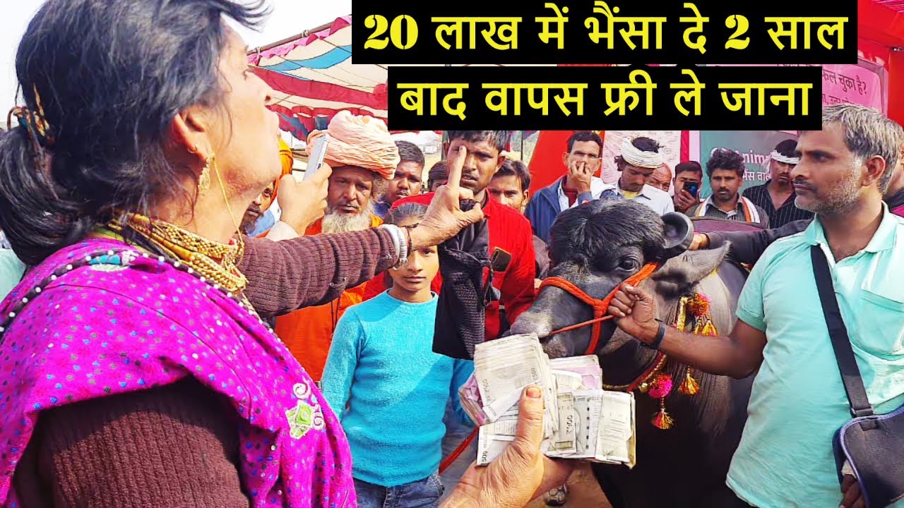 सुशीला किन्नर ने लाखों की गड्डियां लहराकर पुष्कर मेले में खलबली मचा दी / Pushkar Mela 2021