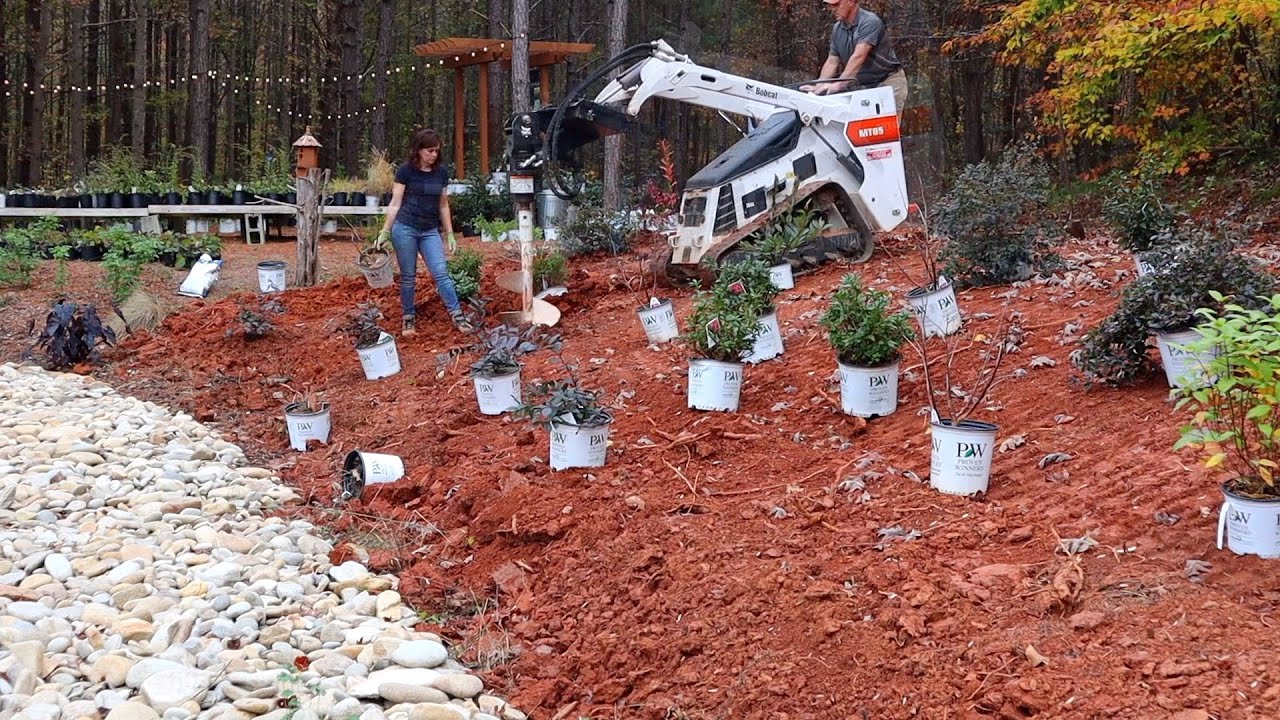 Landscaping a Slope w/ Jenny from Gardening With Creekside! 🌿