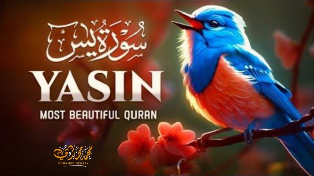 Surah Yaseen (Yasin) سورة يس | Majestic Quran Recitation Calm & Heart Touching Peace #surahyaseen