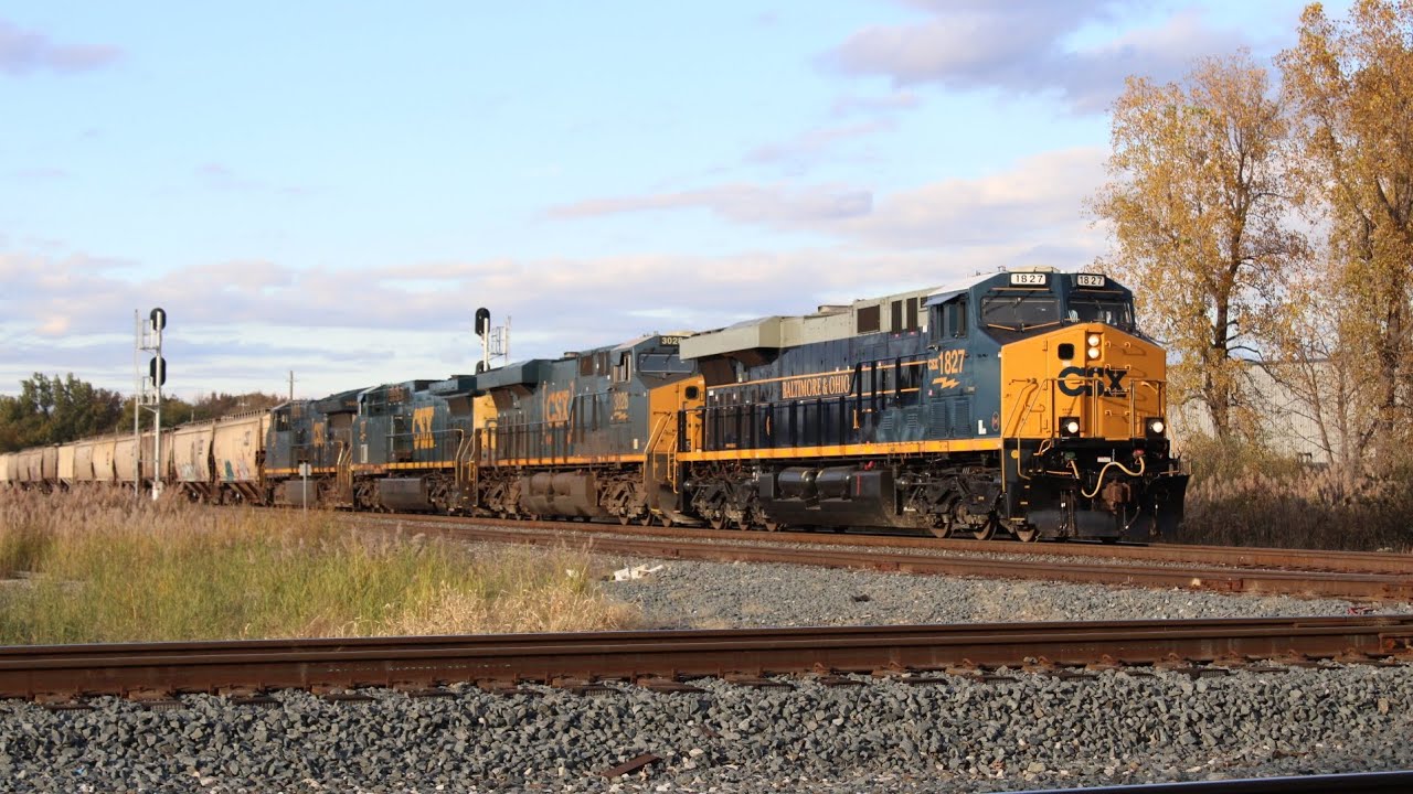 NS B19 and a CSX grain train hit the diamond at Wayne jct (10/25/2025) 