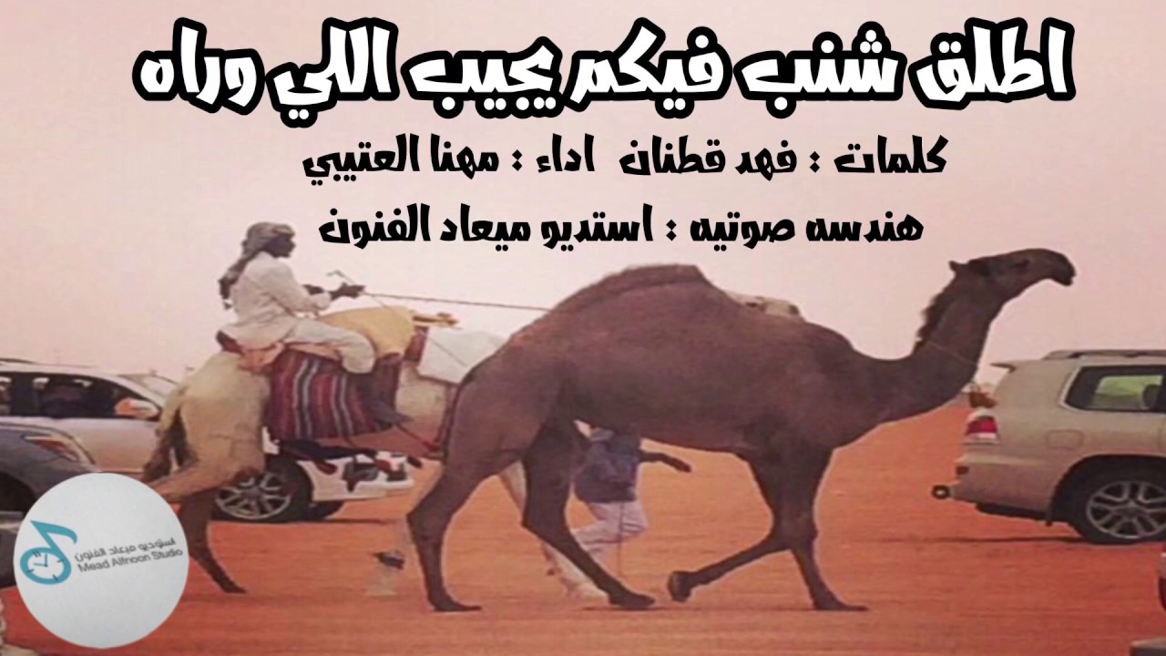 شيلة اطلق شنب فيكم يجيب اللي وراه 
