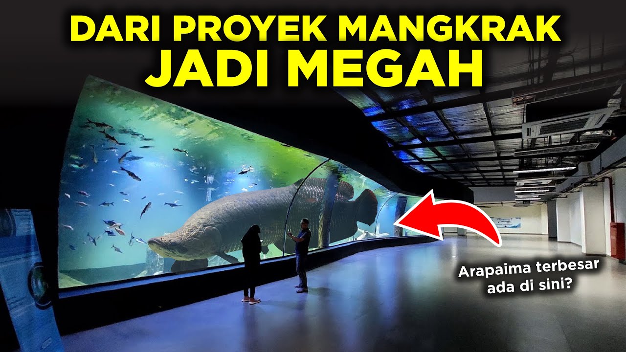 AQUARIUM PANGANDARAN, TERBESAR DI INDONESIA SURGA NYA PARA IKAN