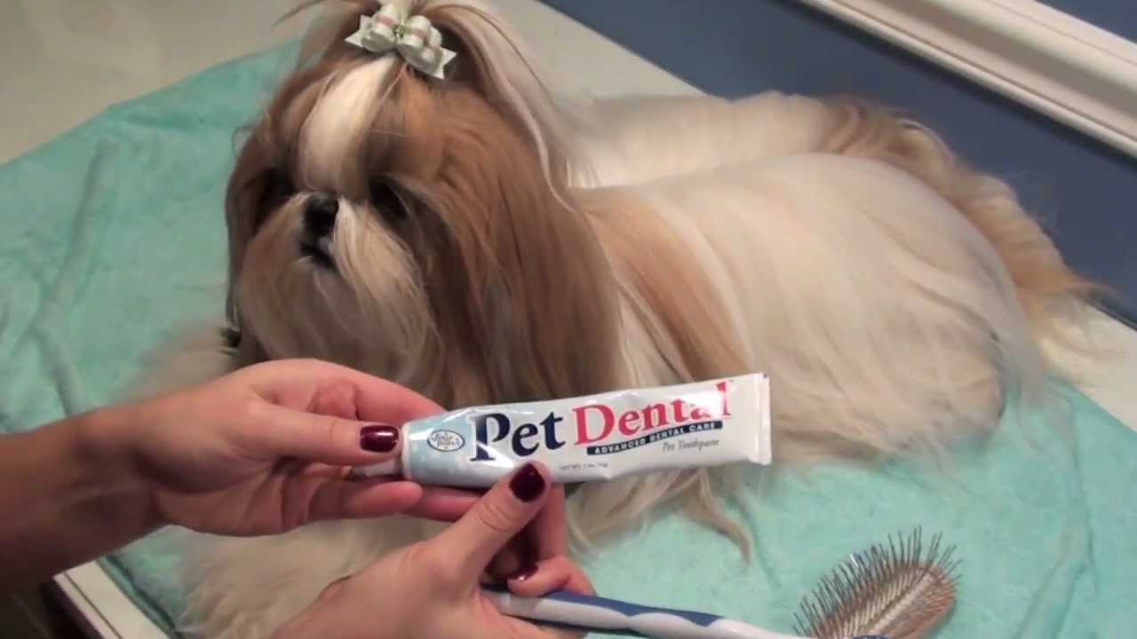 Grooming Series: Bedtime Brushout