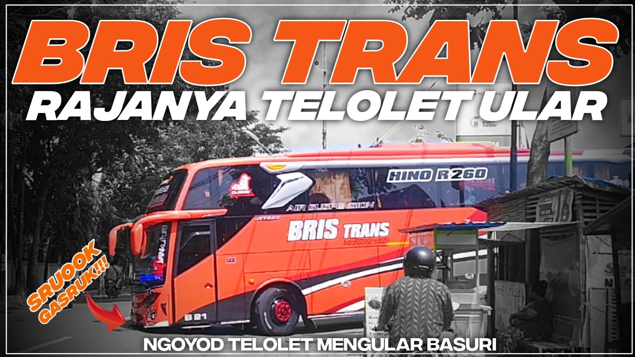 VIRAALL 🔥 Bus Bris Trans CASPER | Telolet Basuri 