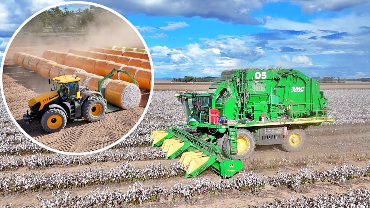 Cotton Harvest is Done! | Vlog 376 #cotton #farming