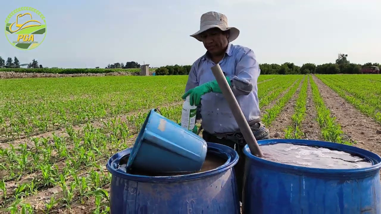 Aplicación de fertilizantes foliares para maíz 🌽🌽🌽🌽.
