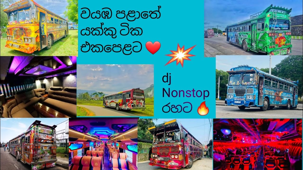 කලාවට වයඹෙන් ආව සෙට් එක❤️ කැමතිම කාටද🤔 #subscribe #trending #bus #srilanka #viral #travel #fyp #vip