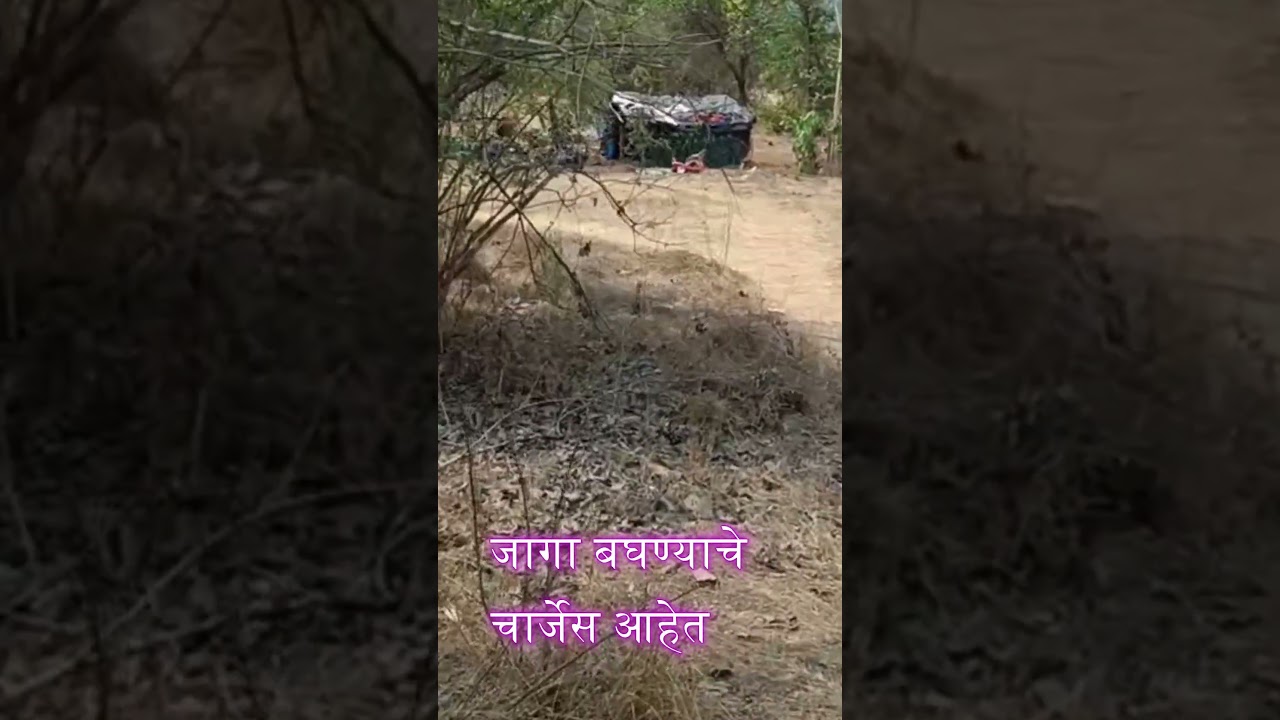 ID :111/75 The 3 acre for sale in Mangaon near Dighi Port highway